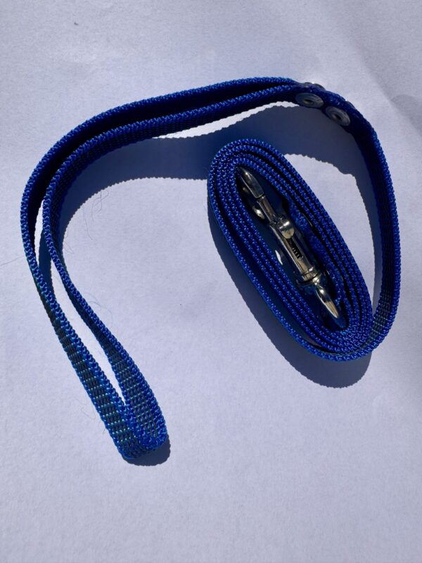 Correa Antideslizante. 1, 20 mtrs. Ancho: 2 cm
